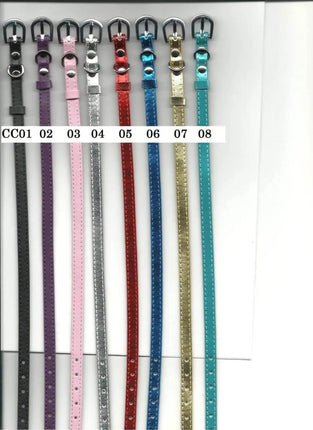 13" Cat Collar Party Expo