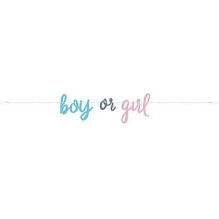 Gender Reveal - Blue/Pink Banner - Party Expo