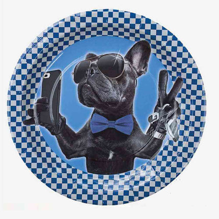 Boy 16th Birthday/Cool Bulldog - 9" Plate Party Expo