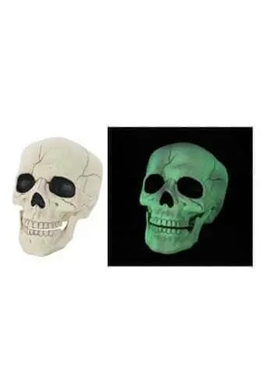 Glow In the Dark Skull - Party Expo
