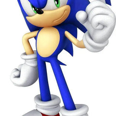 Sonic-the-Hedgehog Party Expo 