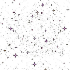 Sparkle-Shine Party Expo 