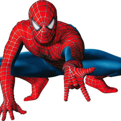 Spiderman Party Expo 