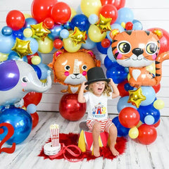 Birthday Party Balloons - Party Expo