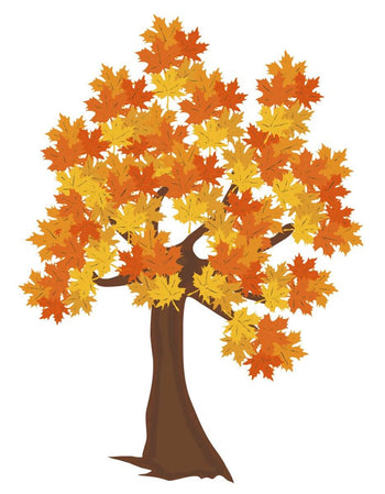 Fall Decorations - Party Expo