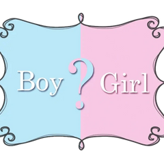 Gender Reveal - Party Expo