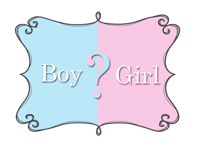 Gender Reveal - Party Expo