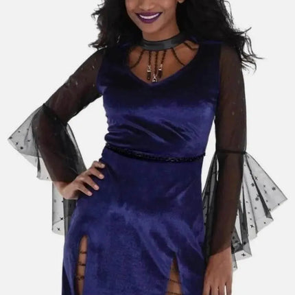 Bad Witch Women's Dress Costume - Party Expo
