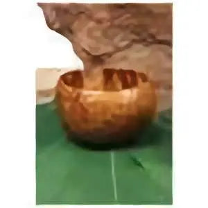 Coconut Cup/Bowl (1ct) - Party Expo
