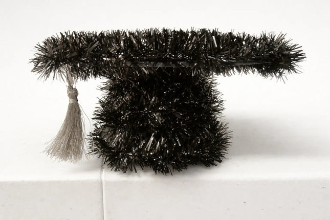 Graduation Hat Decorations Party Expo  