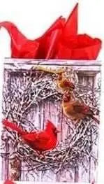 Large Christmas Cardinals Matte Gift Bag (1ct) - Party Expo