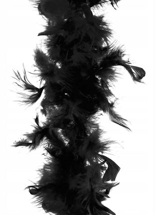 Black Feather Boa - SKU:53527 - UPC:8712364535273 - Party Expo