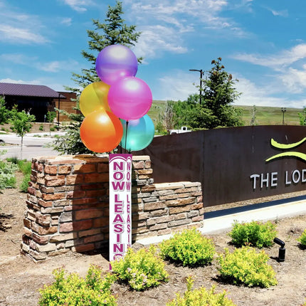 DuraBalloon Cluster - 18" Plastic Balloons (FOR RENTAL ONLY) Party Expo  