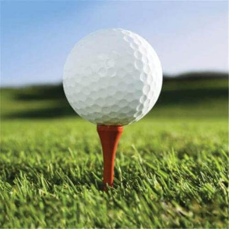 Golf Beverage Napkins (16ct) - SKU:657965 - UPC:039938123765 - Party Expo