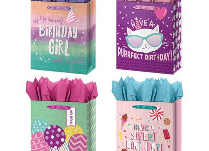 Large Birthday Girl Gift Bags (1ct) - SKU:IG116499 - UPC:018697424306 - Party Expo