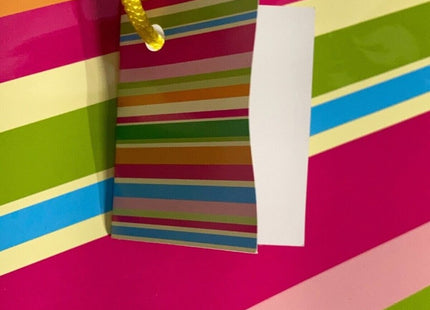 Party Stripes Medium Paper Gift Bags - SKU:64317 - UPC:011179643172 - Party Expo