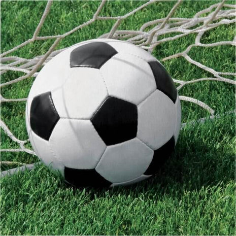 Soccer Lunch Napkins (16ct) - SKU:667966 - UPC:039938124090 - Party Expo