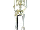 10ft Standing Titan Skeleton w/White LED Eyes & Stand - SKU:48047 - UPC:50762543480477 - Party Expo