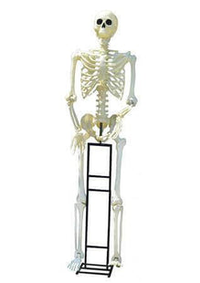 10ft Standing Titan Skeleton w/White LED Eyes & Stand - SKU:48047 - UPC:50762543480477 - Party Expo