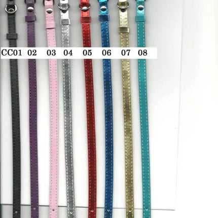 13" Cat Collar Party Expo  