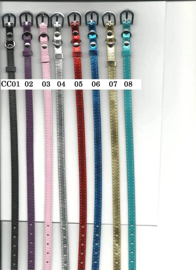 13" Cat Collar Party Expo  