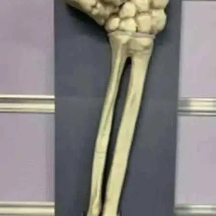 17" Skeleton Thumbs Up Lawn Stake Party Expo  