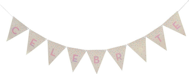 2-Sided Iridescent Rainbow Flag Pennant Banner (1ct) - SKU:336395 - UPC:039938565756 - Party Expo