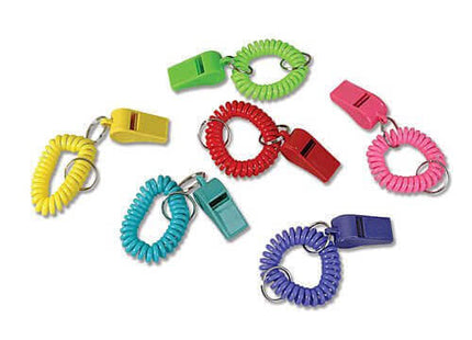 2" Spiral Whistles (12 Count) - SKU:CA-WHISP - UPC:097138652270 - Party Expo