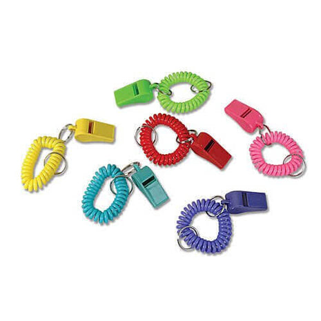 2" Spiral Whistles (12 Count) - SKU:CA-WHISP - UPC:097138652270 - Party Expo