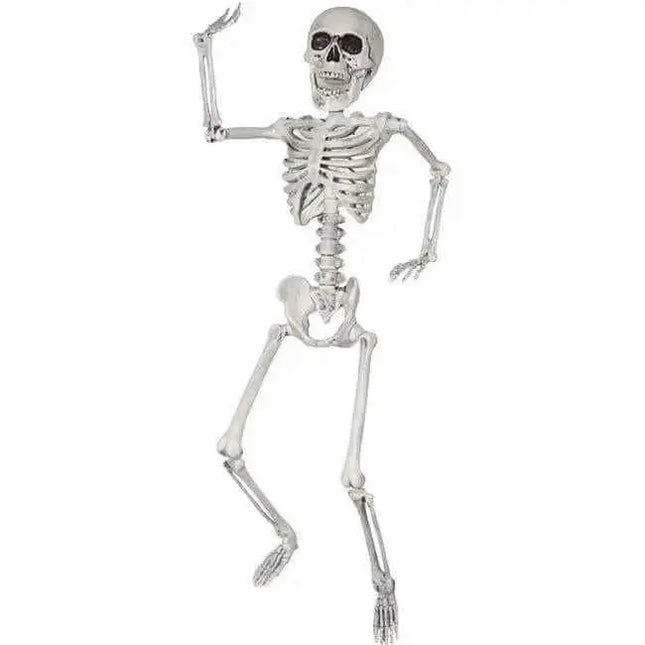 24" Skeleton Prop Party Expo  