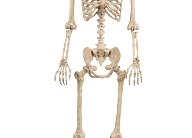 5ft Mr. Crazy Bones Animated Skeleton Light Up Eyes & Sound - SKU:W81898 - UPC:190842818984 - Party Expo