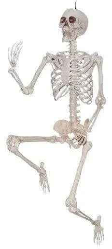 5ft Skeleton Pose and Hold Party Expo  