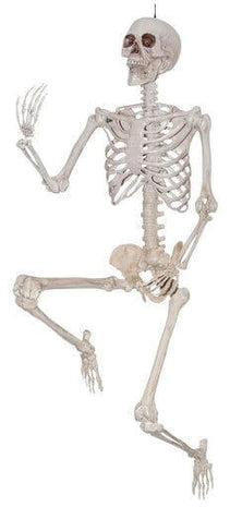 5ft Skeleton Pose and Hold - SKU:39287 - UPC:762543392874 - Party Expo