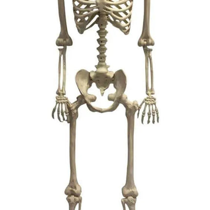 60" Animated Skeleton Morphing Light Up Eyes,Talking Party Expo  