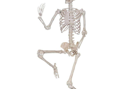 60" Posable Skeleton - SKU:46804 - UPC:762543468043 - Party Expo