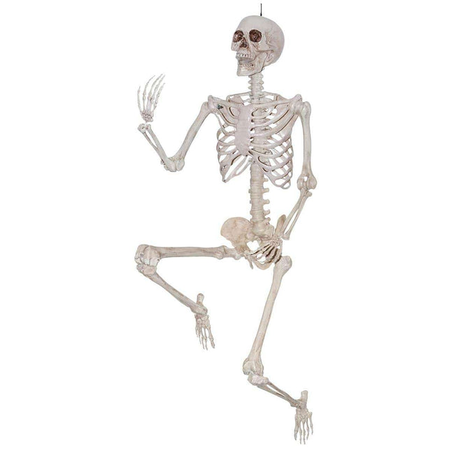 60" Posable Skeleton - SKU:46804 - UPC:762543468043 - Party Expo