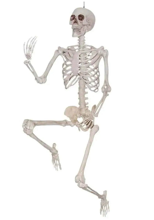 7ft Titan Skeleton Party Expo  