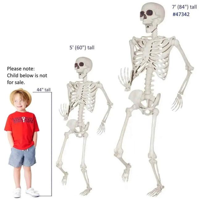 7ft Titan Skeleton Party Expo  