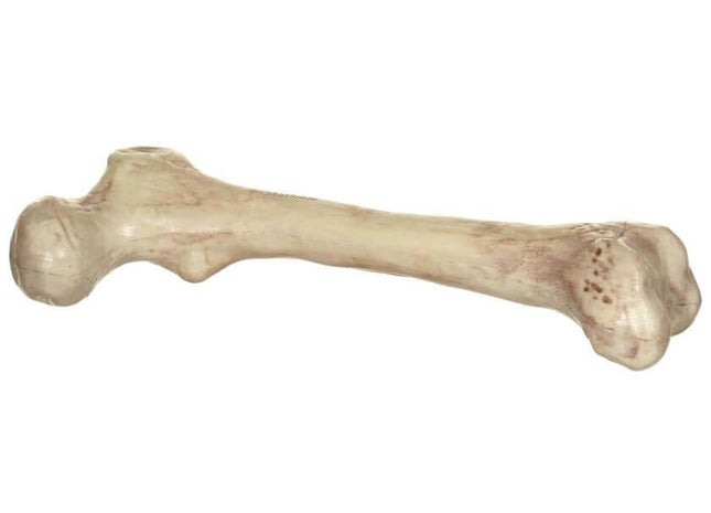 9" Skeleton Bone Prop - SKU:Z28289 - UPC:628481282892 - Party Expo