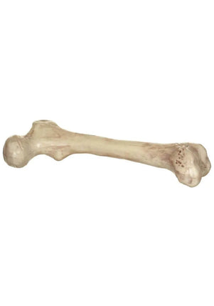 9" Skeleton Bone Prop Party Expo  