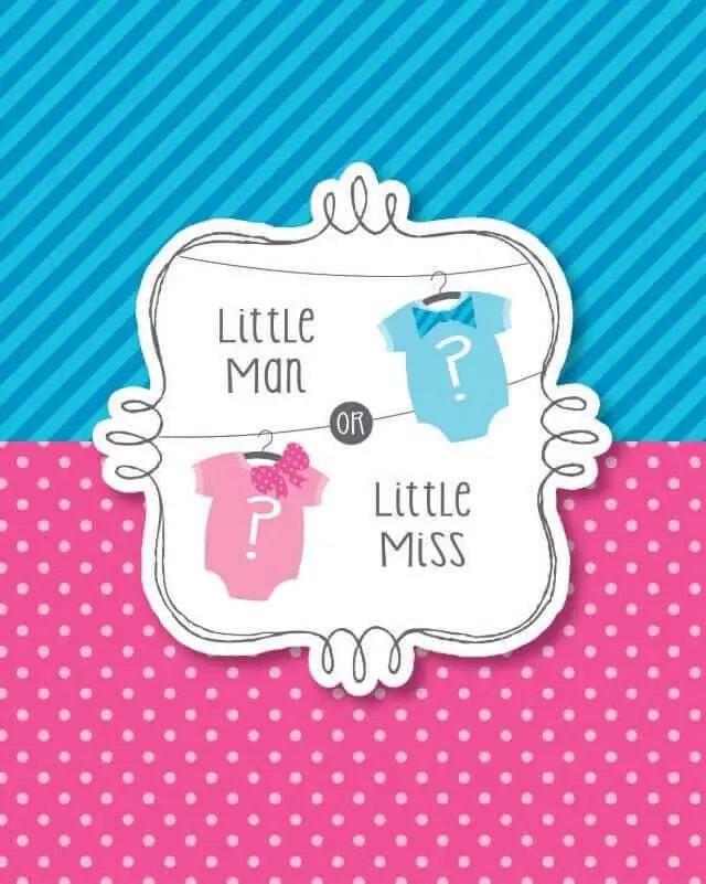 Baby Shower - 'Bow Or Bowtie?' Invitations - Party Expo