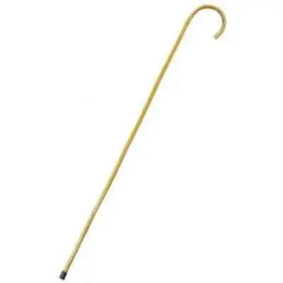 Bamboo Walking Cane Party Expo  