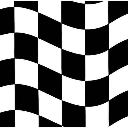 Black & White Check Lunch Napkins (16ct) - Party Expo