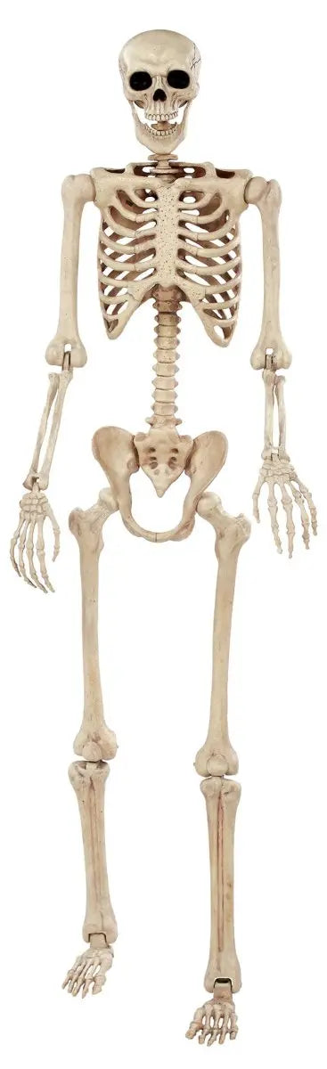 Large Pose N Stay Skeleton 74" (6.2' tall) Party Expo  