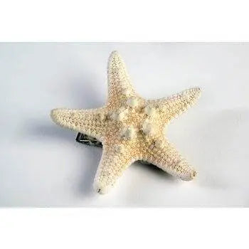 Mermaid Star Fish Hairclip - Party Expo
