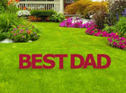 Best Dad Yard Sign with Stakes - SKU:3424 - UPC:082033034245 - Party Expo