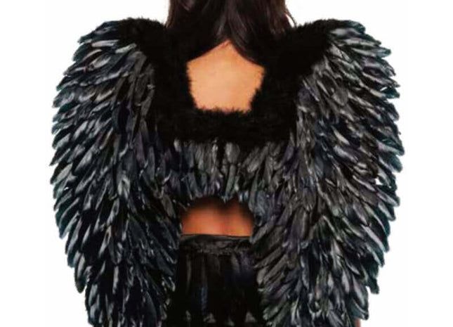Black Feather Wings - Adults - SKU: - UPC:843248157477 - Party Expo
