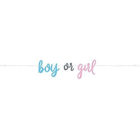 Gender Reveal - Blue/Pink Banner - SKU:76087* - UPC:011179760879 - Party Expo