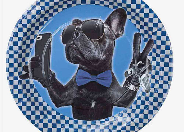Boy 16th Birthday/Cool Bulldog - 9" Plate - SKU:40100 - UPC:654082401004 - Party Expo