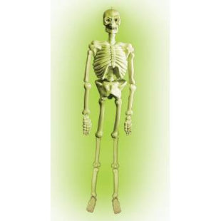 Giant 5ft Gid Skeleton - SKU:41000 - UPC:721773410000 - Party Expo
